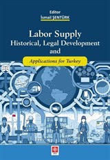 Labor Supply Historial, Legal Development and Applications for Turkey