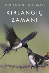 Kırlangıç Zamanı