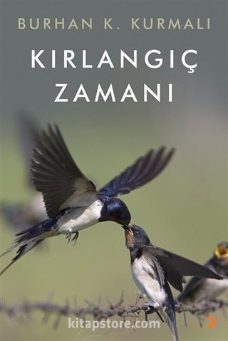 Kırlangıç Zamanı