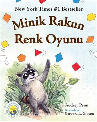 Minik Rakun Renk Oyunu