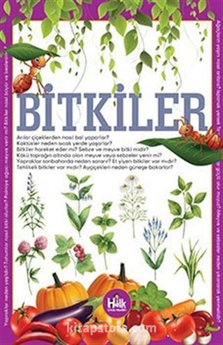 Bitkiler