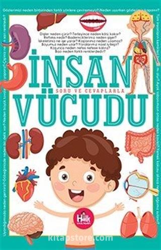 İnsan Vücudu