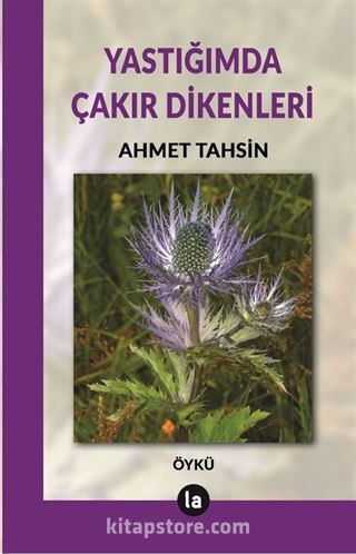 Yastığımda Çakır Dikenleri