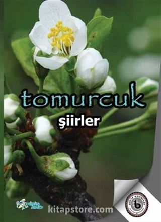 Tomurcuk