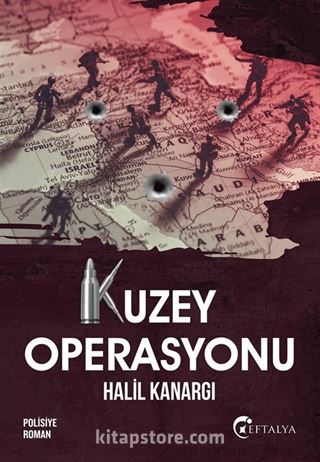 Kuzey Operasyonu