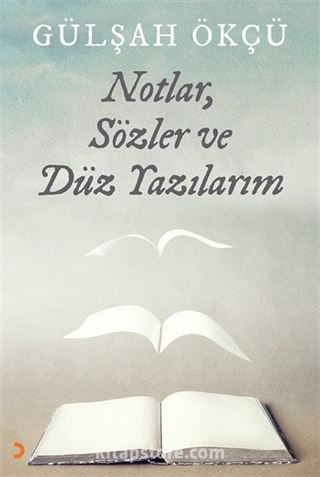 Notlar, Sözler ve Düz Yazılarım