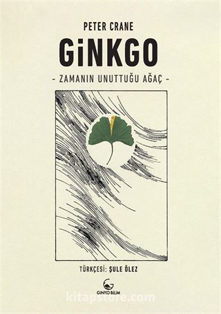 Ginkgo