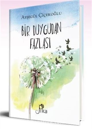 Bir Duygudan Fazlası