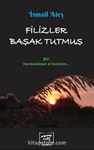 Filizler Başak Tutmuş