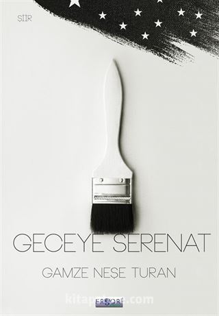 Geceye Serenat