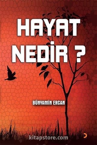 Hayat Nedir?