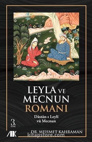 Leyla ve Mecnun Romanı