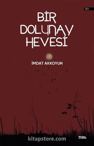 Bir Dolunay Hevesi