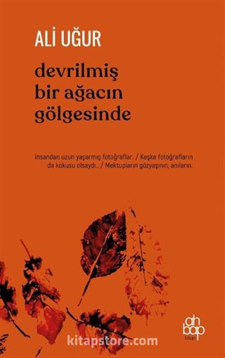 Devrilmiş Bir Ağacın Gölgesinde