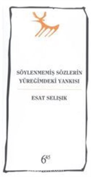 Söylenmemiş Sözlerin Yüreğimdeki Yankısı