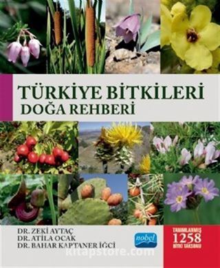 Türkiye Bitkileri Doğa Rehberi