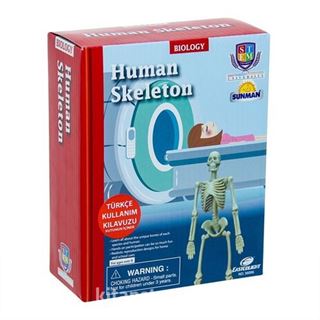 Eğitici Oyuncak Bilim Seti İnsan İskeleti(82063)