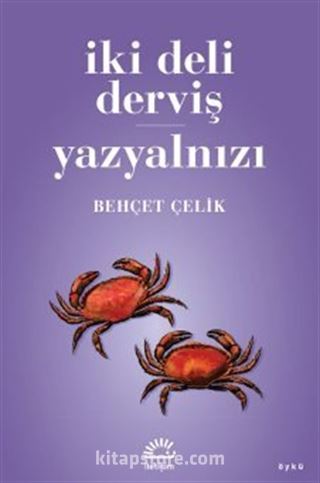 İki Deli Derviş - Yazyalnızı