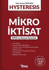 Hysteresis Mikro İktisat