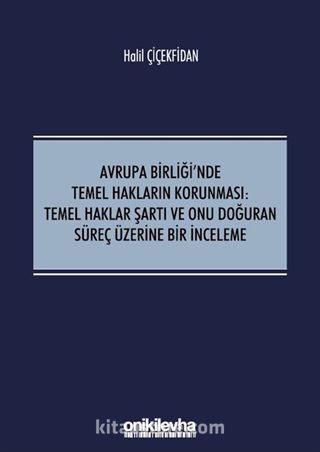 Avrupa Birliği'nde Temel Hakların Korunması:Temel Haklar Şartı ve Onu Doğuran Süreç Üzerine Bir İnceleme