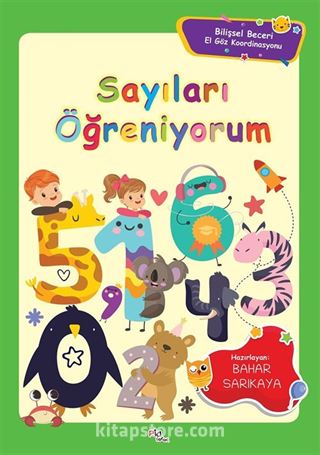 Sayıları Öğreniyorum / Bilişsel Beceri El Göz Koordinasyonu