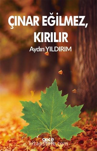 Çınar Eğilmez, Kırılır