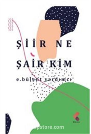 Şiir Ne Şair Kim