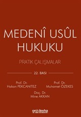 Medeni Usul Hukuku Pratik Çalışmalar