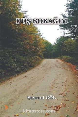 Düş Sokağım