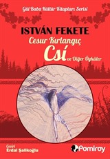 Cesur Kırlangıç Csi ve Diğer Öyküler