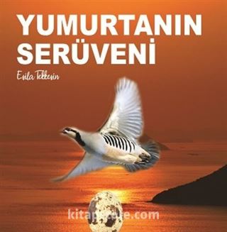 Yumurtanın Serüveni