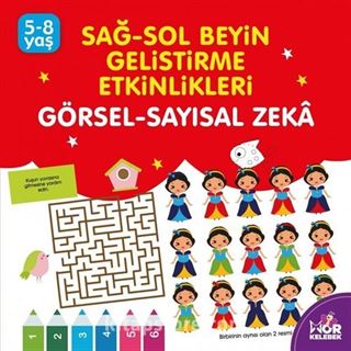 Görsel Sayısal Zeka / Sağ-Sol Beyin Geliştirme Etkinlikleri (5-8 Yaş)