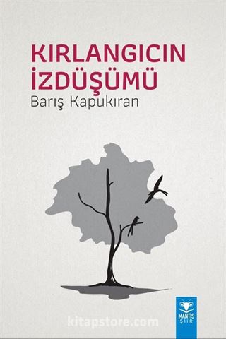 Kırlangıcın İzdüşümü