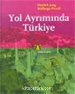 Yol Ayrımında Türkiye