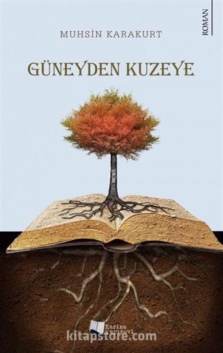 Güneyden Kuzeye