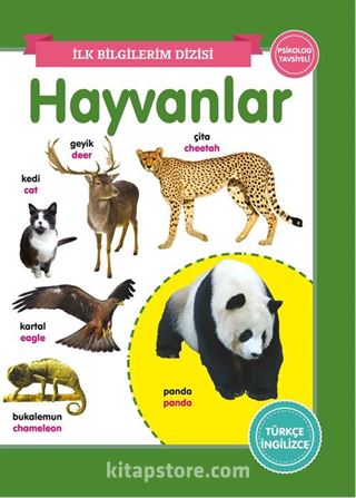 Hayvanlar / İlk Bilgilerim Dizisi