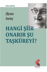 Hangi Şiir Onarır Şu Taşküreyi?