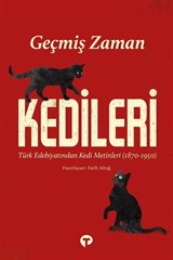 Geçmiş Zaman Kedileri