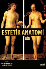 Estetik Anatomi