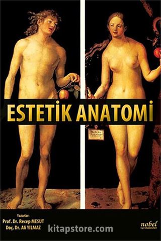 Estetik Anatomi