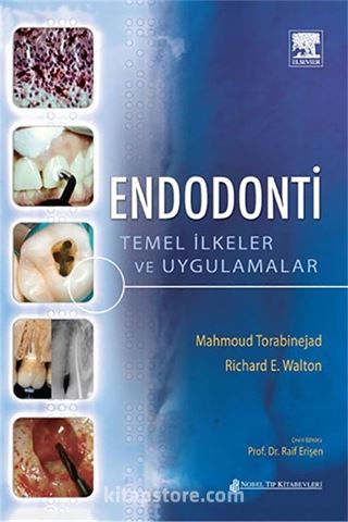 Endodonti Temel İlkeler ve Uygulamalar