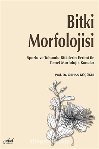 Bitki Morfolojisi: Sporlu ve Tohumlu Bitkilerin Evrimi ile Temel Morfolojik Konular