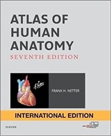 Netter Atlas of Human Anatomy International Edition, 7th Edition