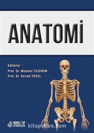 Anatomi