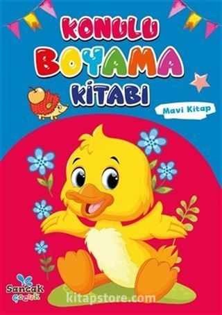 Konulu Boyama Kitabı - Mavi Kitap