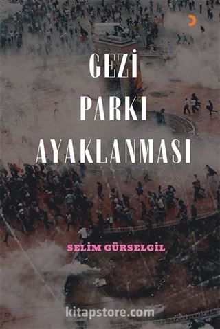 Gezi Parkı Ayaklanması