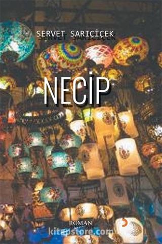 Necip