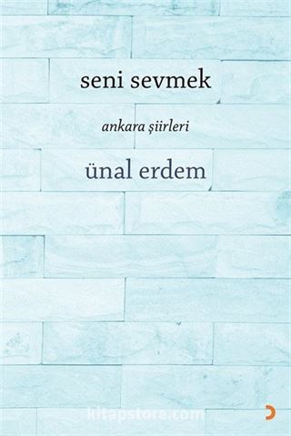 Seni Sevmek