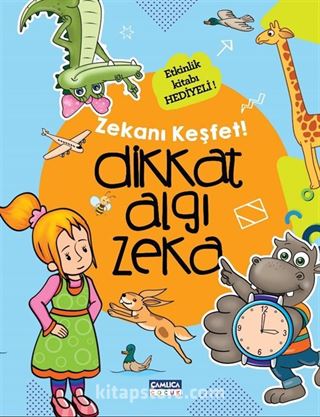 Dikkat Algı Zeka / Zekanı Keşfet!