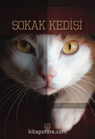 Sokak Kedisi